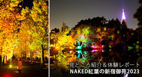 新宿御苑の紅葉イルミネーションNAKED紅葉の新宿御苑2023見どころ体験レポートオススメ五感で感じる壮大で煌びやかな日本の秋 ロボスタ