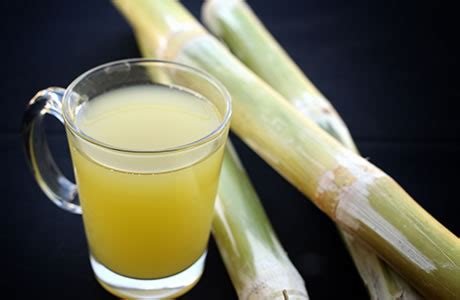 Sugar Cane Syrup Nutrition Facts Besto Blog