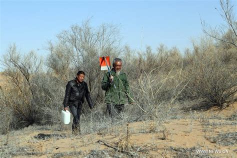 Villagers Fight Against Desertification In Nw China People S