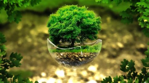 Nature Green Leaves Plants Digital Art Floating Island Trees