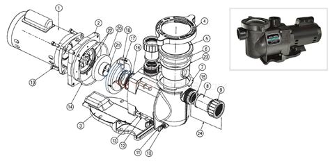 Sta Rite Pump Diagram - General Wiring Diagram