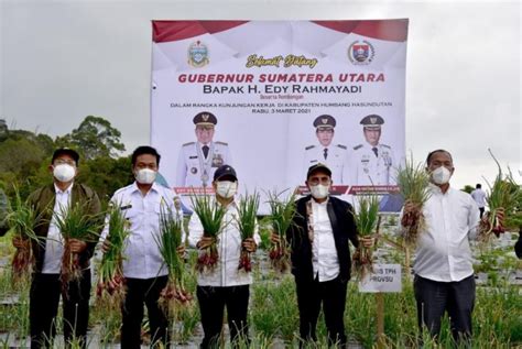 Food Estate Sumut Humbahas Diharapkan Jadi Lumbung Pangan Nasional