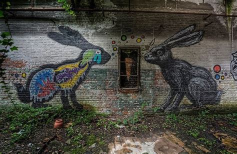 Roa Rabbits Art Pictures Abandoned Factory Pictures Of The Week