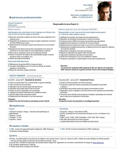 Exemple Cv Responsable Adv Cv Anonyme