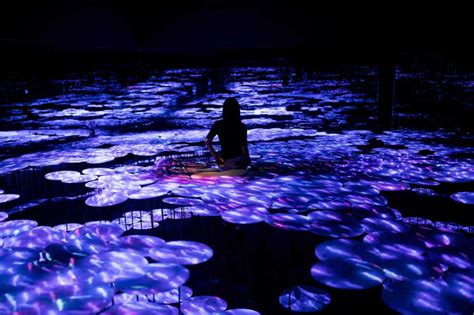 Tokyo digital art museum looks to 'expand the beautiful', Asia News ...