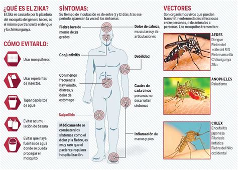 Enfermedades Transmitidas Por Mosquitos