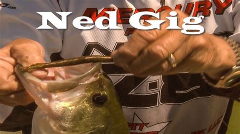 How To Catch Bass With The Ned Rig Catch Rigs Ned