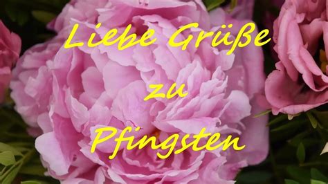 Liebe Gr E Zu Pfingsten Pfingstgr E Zum Versenden Gr E Zu