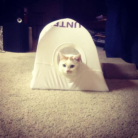 Cat Tent With T Shirt 2 Wire Hangers And The Card Board Case From