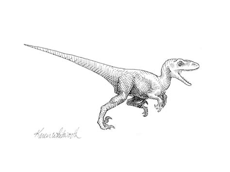 Raptor Dinosaur Decor Drawing Wall Art Prints Velociraptor - Etsy