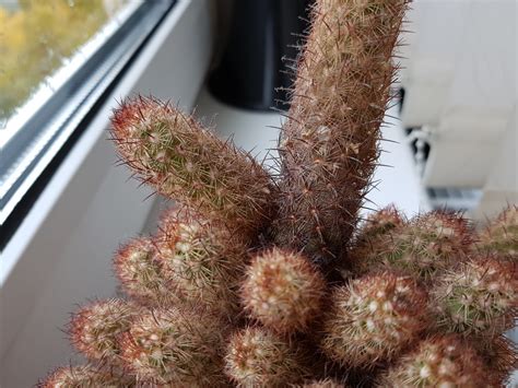 Обзор смартфона Samsung Galaxy Note 8 с «безграничным» экраном и ...