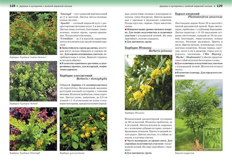 Атлас декоративных деревьев и кустарников | Фитон XXI