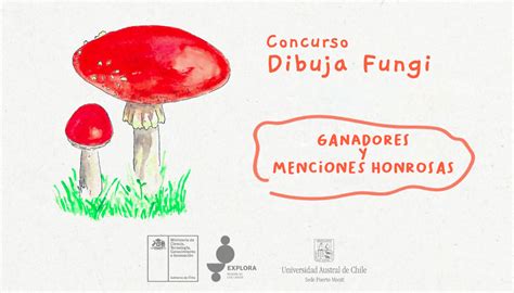 Proyecto Explora Los Lagos Anuncia Ganadores Del Concurso Dibuja Fungi