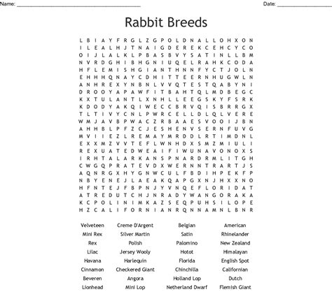 Rabbit Word Search Printable Word Search Printable