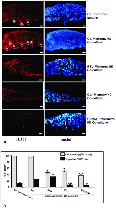 Targeting Human Colon Cancer Stem Cells Cd133 Positive Cells With