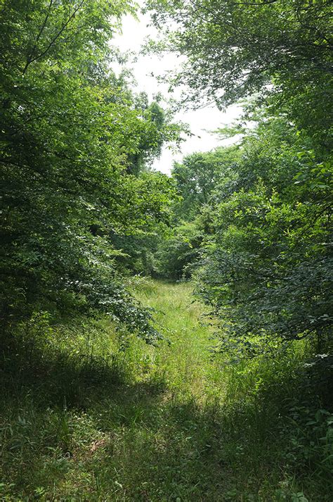 Trinity River National Wildlife Refuge – DearTexas,