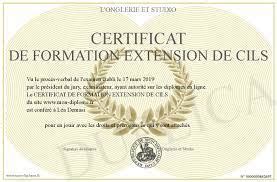 Quel Diplome Pour Faire Des Extensions De Cils Formation Extension