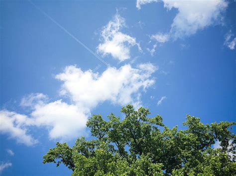 Clouds With Tree Free Stock Photo Picjumbo