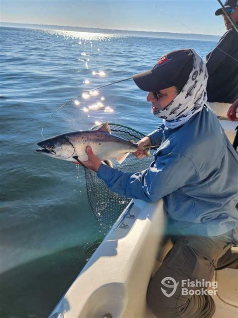 Cut Plug Charters Seattle Fishing Updated 2024 Prices