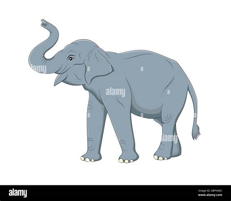 Ilustración Vectorial De Elefante Fotografías E Imágenes De Alta