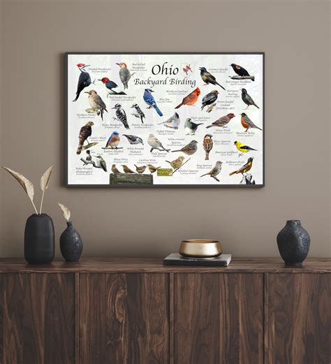 Birds of Ohio Backyard Birding Identification Picture Print/ - Etsy