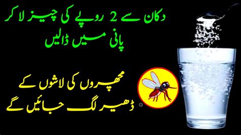 Ghar Se Machhar Bhagany Ka Asan Tarika Get Rid Of Mosquitoes In Rainy