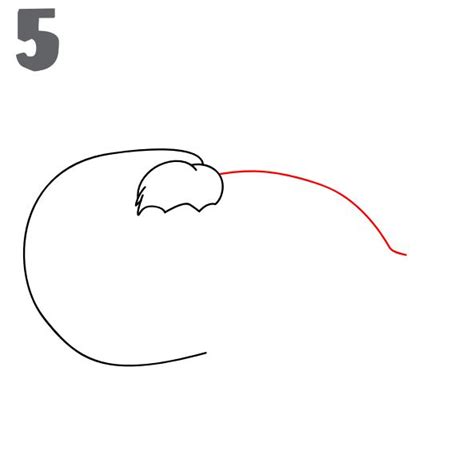 How To Draw a Walrus - EASY Drawing Tutorial!