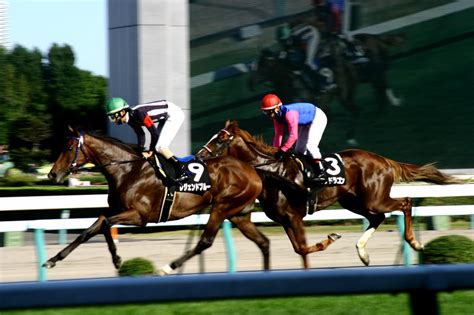 札幌競馬場 Ran Blog