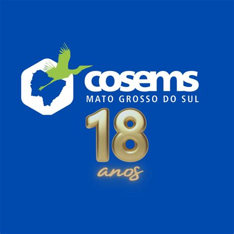 Cosems MS Comemora 18 Anos Em Defesa Do SUS COSEMS MS CONSELHO DE