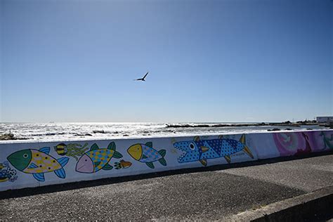 房総フラワーライン 南房総 花海街道