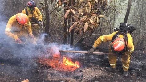 Nuevo León formaliza solicitud de declaratoria de emergencia por