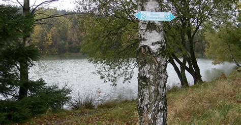 Wasser Erlebnis Pfad BERGFEX Wanderung Tour Rheinland Pfalz