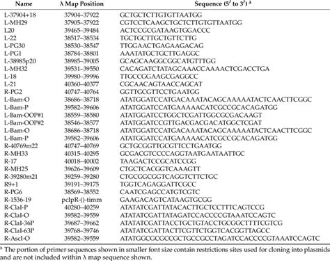 Oligonucleotide Primers Employed For DNA Sequence Analysis And Plasmid