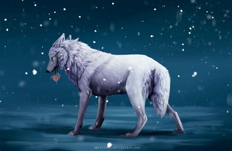 Wolfs Rain Волчий дождь Cool Wolf Drawings Wolfs Rain Canine Art