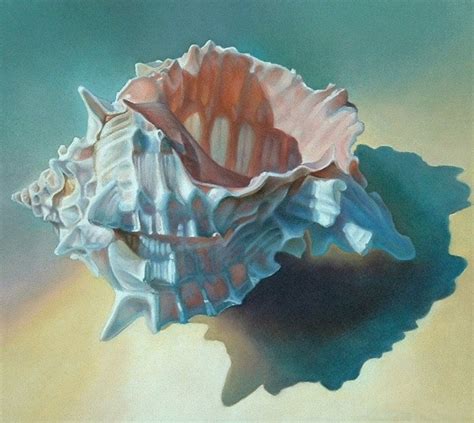 Conch Shell Study wall art print by Leslie by LeslieMaconFineArt