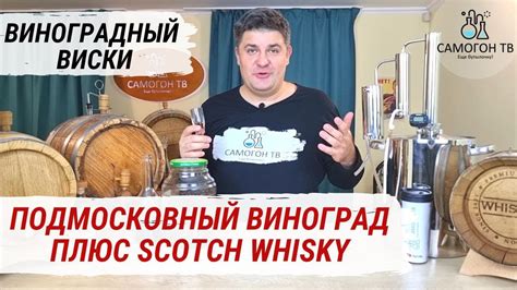 ВИНОГРАДНЫЙ ВИСКИ. Подмосковный виноград плюс Scotch Whiskey 45% ...
