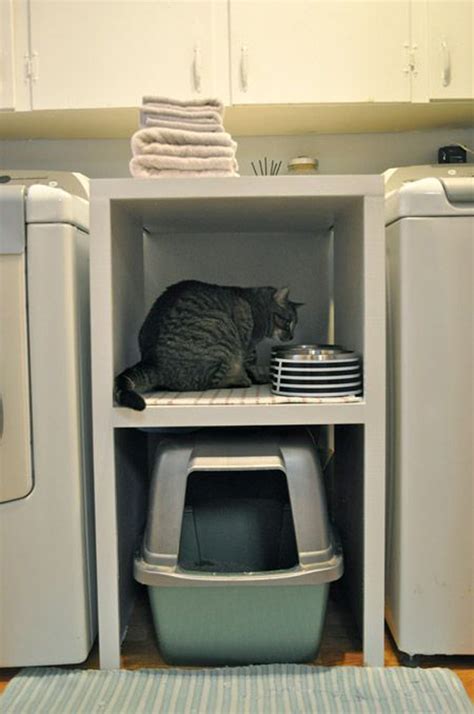 Litter Box Ideas For Apartments At Nathan Galloway Blog