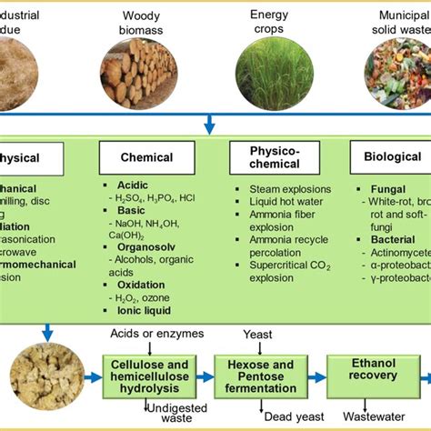 Schematic Representation Of Ethanol Production From Lignocellulosic