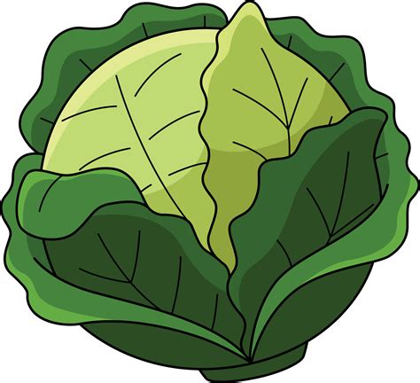 Cabbage Vegetable Cartoon Colored Clipart 21964626 Vector Art at Vecteezy