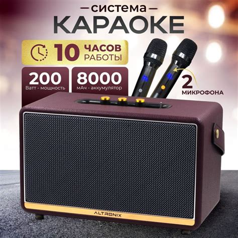 Караоке система с 2 микрофонами и колонкой Singer 200 купить на OZON по ...