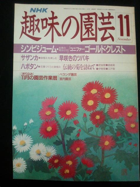 【傷や汚れあり】ba1 03819 Nhk 趣味の園芸 昭和63年11月号 No188 シンビジューム・花芽の見分け方ハボタン・花壇づくり