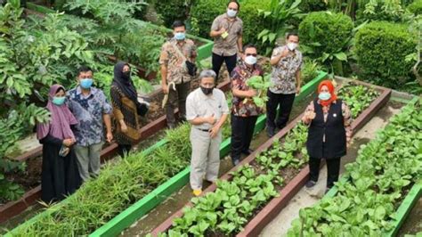 P S Swen Inovasi Mandiri Kembangkan Pertanian Terpadu