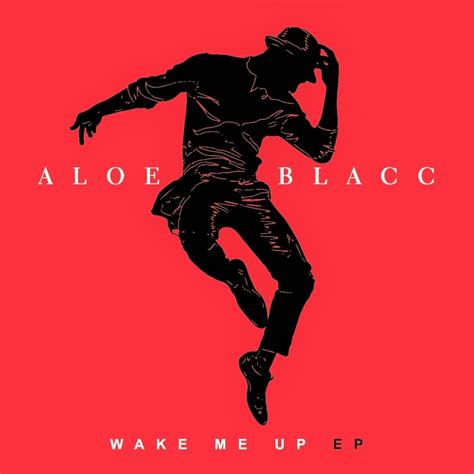 Aloe Blacc – The Man Lyrics | Genius Lyrics