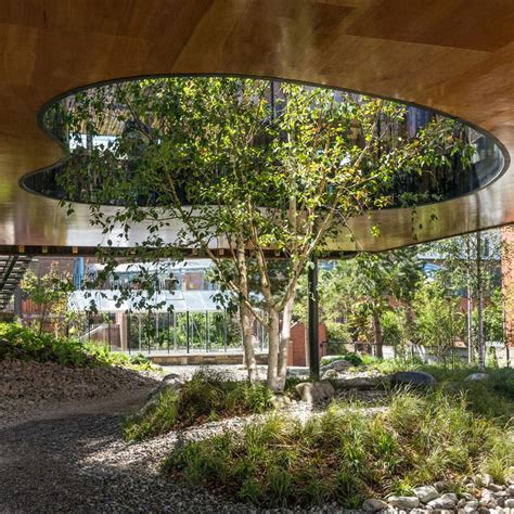 courtyards drmm maggies centre architecture courtyard oldham