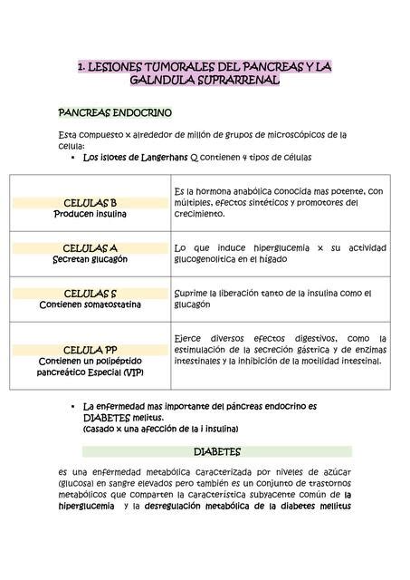 Lesiones Tumorales del Páncreas y la Glándula Suprarrenal SANDIA2232