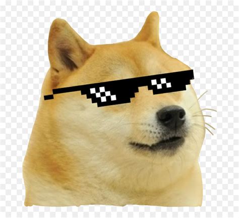 Doge Meme Mlg Dog Doggo Funny Doge Thug Life Png Transparent Png Vhv