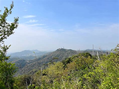 野鳥のさえずりを聞きながら～再度公園～菊水山～君影ロックガーデン ～つれづれに～