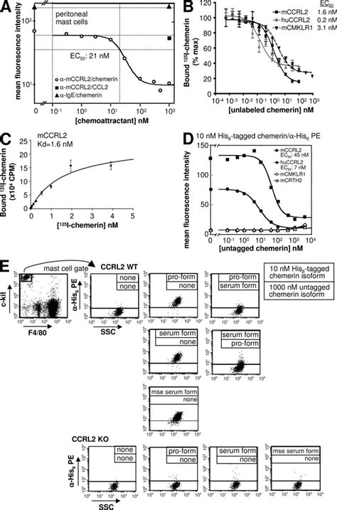 CCRL2 Binds Chemerin A Chemerin Blocks Anti CCRL2 MAb Binding