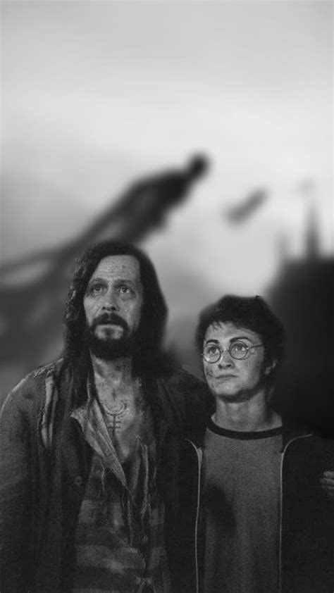 Sirius Black And Harry Potter