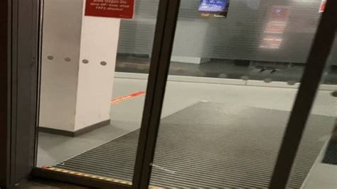 Hardcore Balloon Pop In Public Nastila Studio Clips Sale